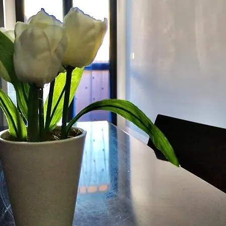 Апартаменты Dgs Трапани