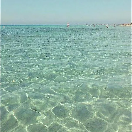 Apartment Dgs Trapani